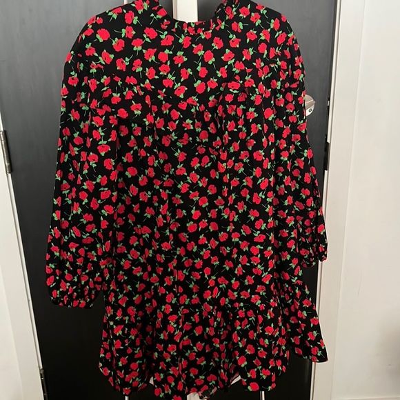NWOT Zara floral mini dress - long sleeve, ruffle at hem and neck - large - Picture 1 of 4